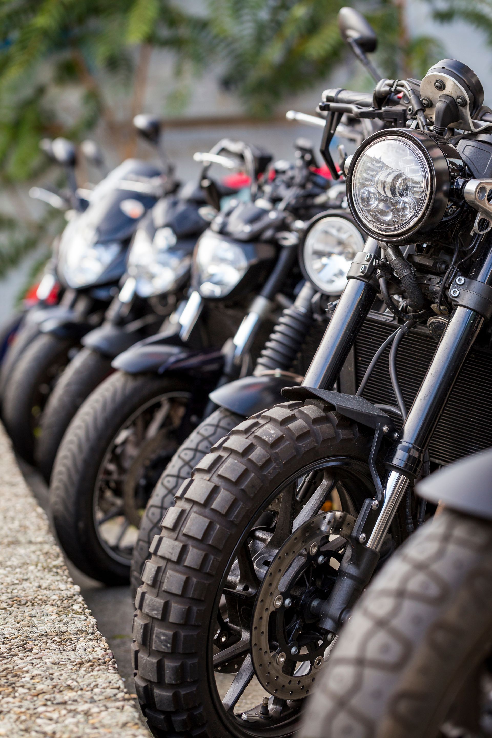 Row of custom motorcycles parked close together outdoors, with a black bike and chunky front tire in the foreground