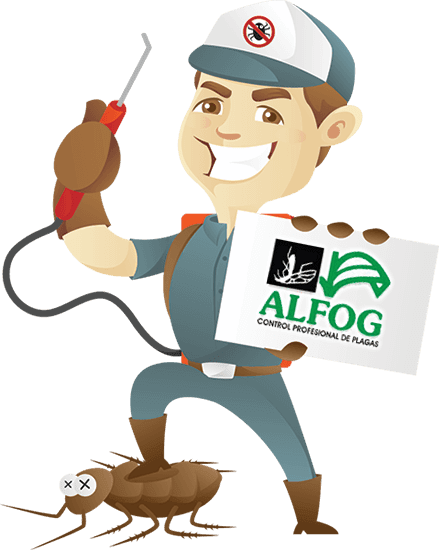 ALFOG CONTROL PROFESIONAL DE PLAGAS - CONTROL DE PLAGAS