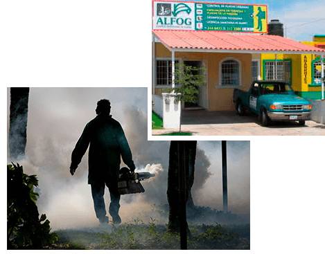 ALFOG CONTROL PROFESIONAL DE PLAGAS - FUMIGACIONES