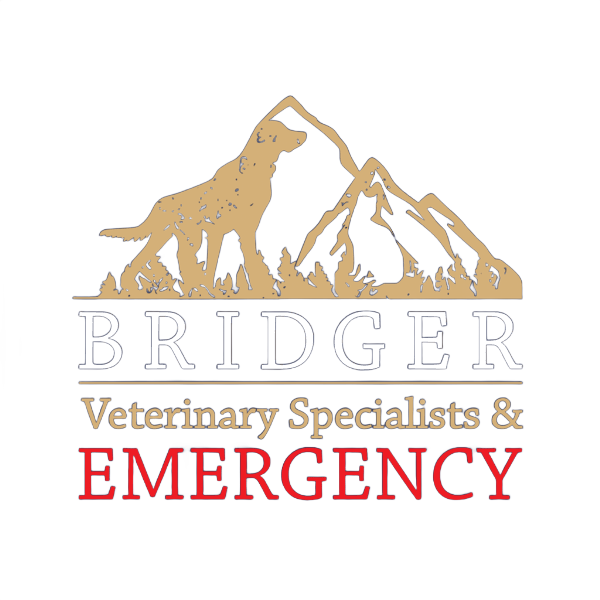 Sentinel Veterinary Specialists & Emergency Bridger Veterinary Specialists & Emergency