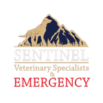 Sentinel Veterinary Specialists & Emergency Sentinel Veterinary Specialists & Emergency