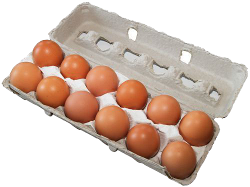 A cardboard box filled with brown eggs on a white background.