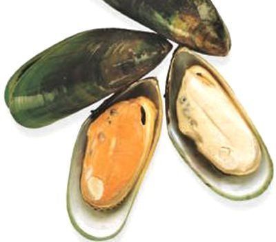 A group of mussels are sitting on top of each other on a white surface.