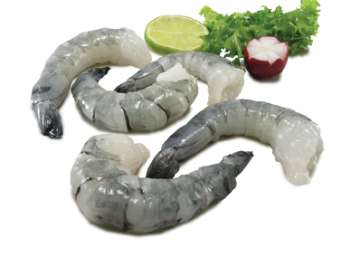 Shrimp