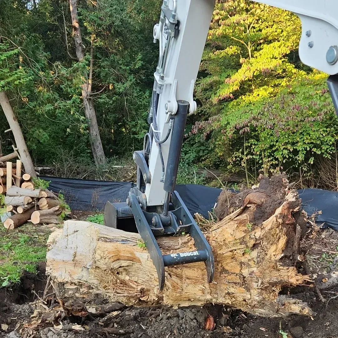A bobcat excavator is moving a large rock in the dirt.