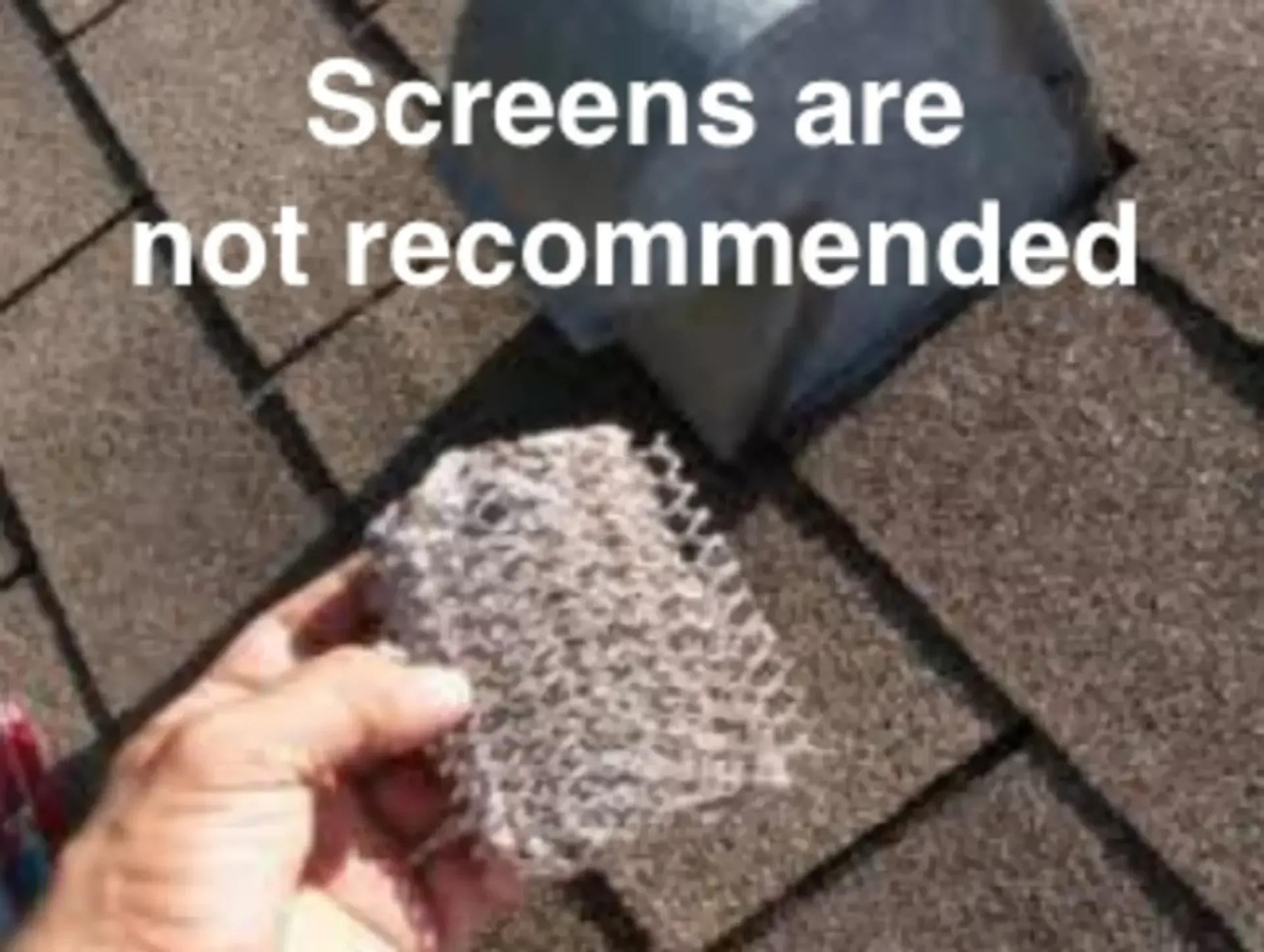 Love's Dryer Vent Cleaning - A person is holding a piece of mesh on a roof.