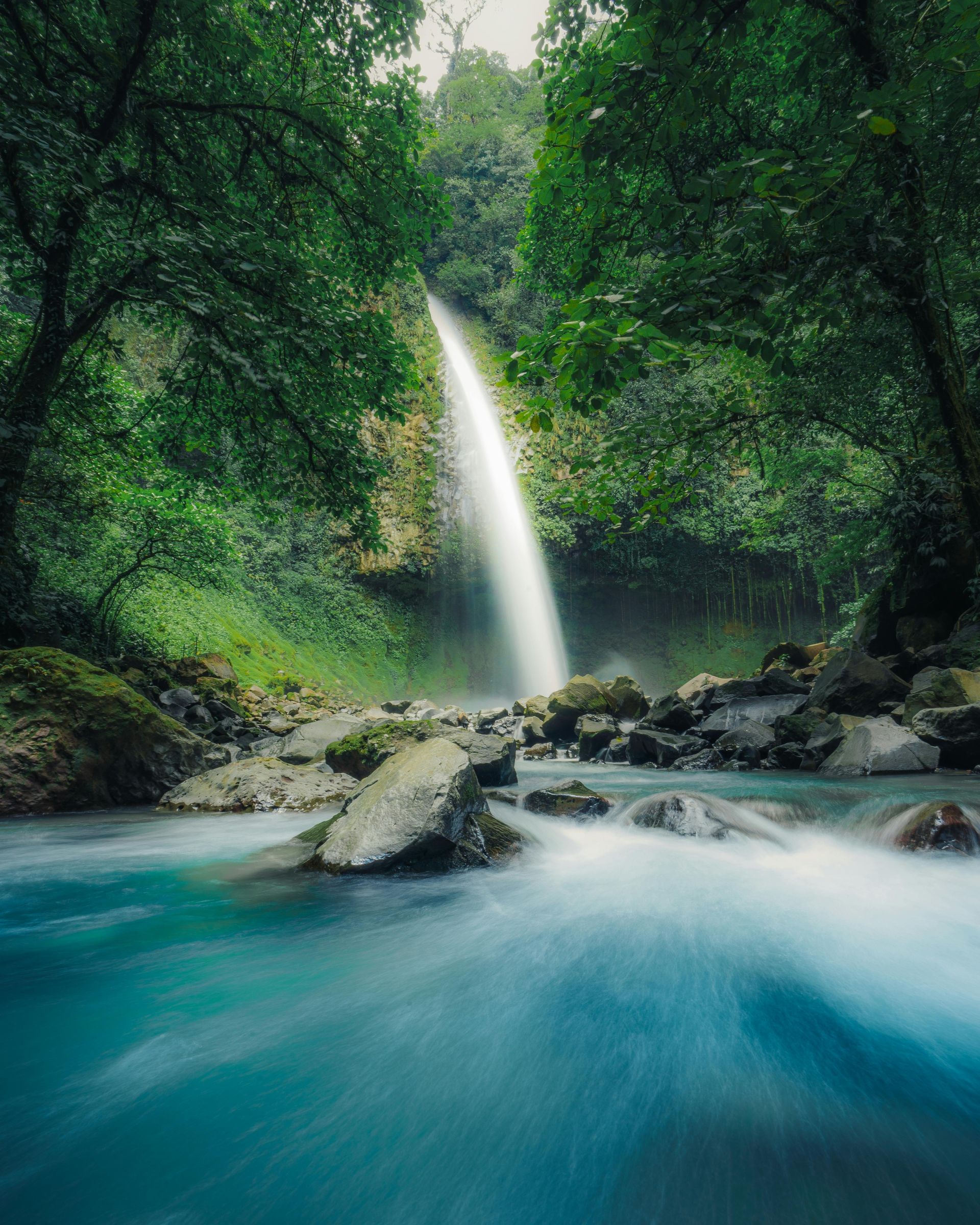 A waterfall pours into a river in the Costa Rican rainforest.