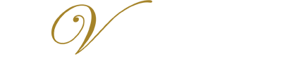 The Travel Time logo in white lettering, with a stylized golden V.
