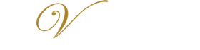 The Travel Time logo in white lettering, with a stylized golden V