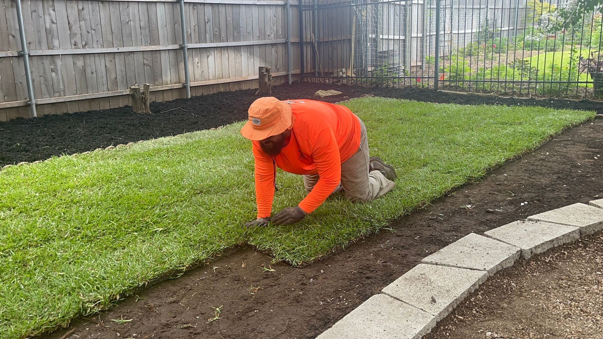 A person kneels, laying sod in a yard, wearing orange, near a border.