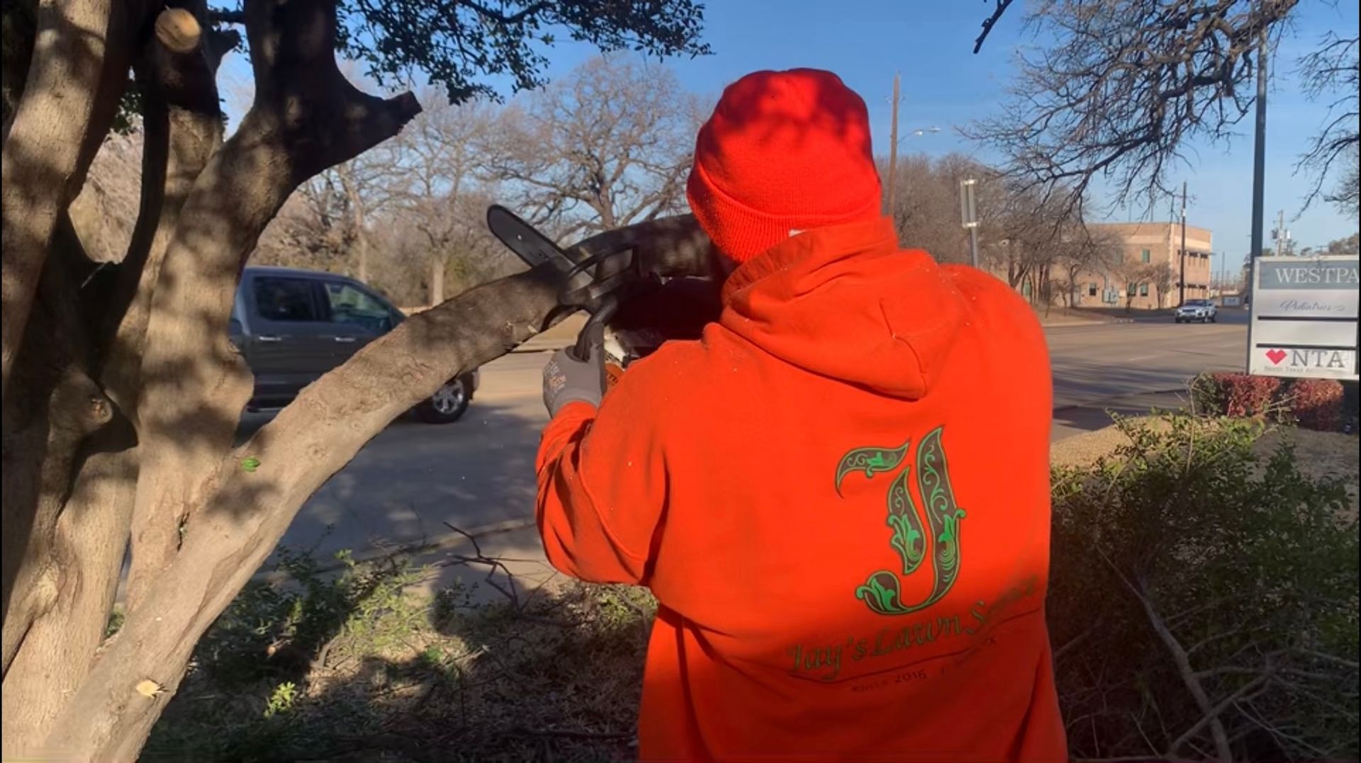 Man in orange cutting a tree branch with a chainsaw in front of a building on a sunny day.