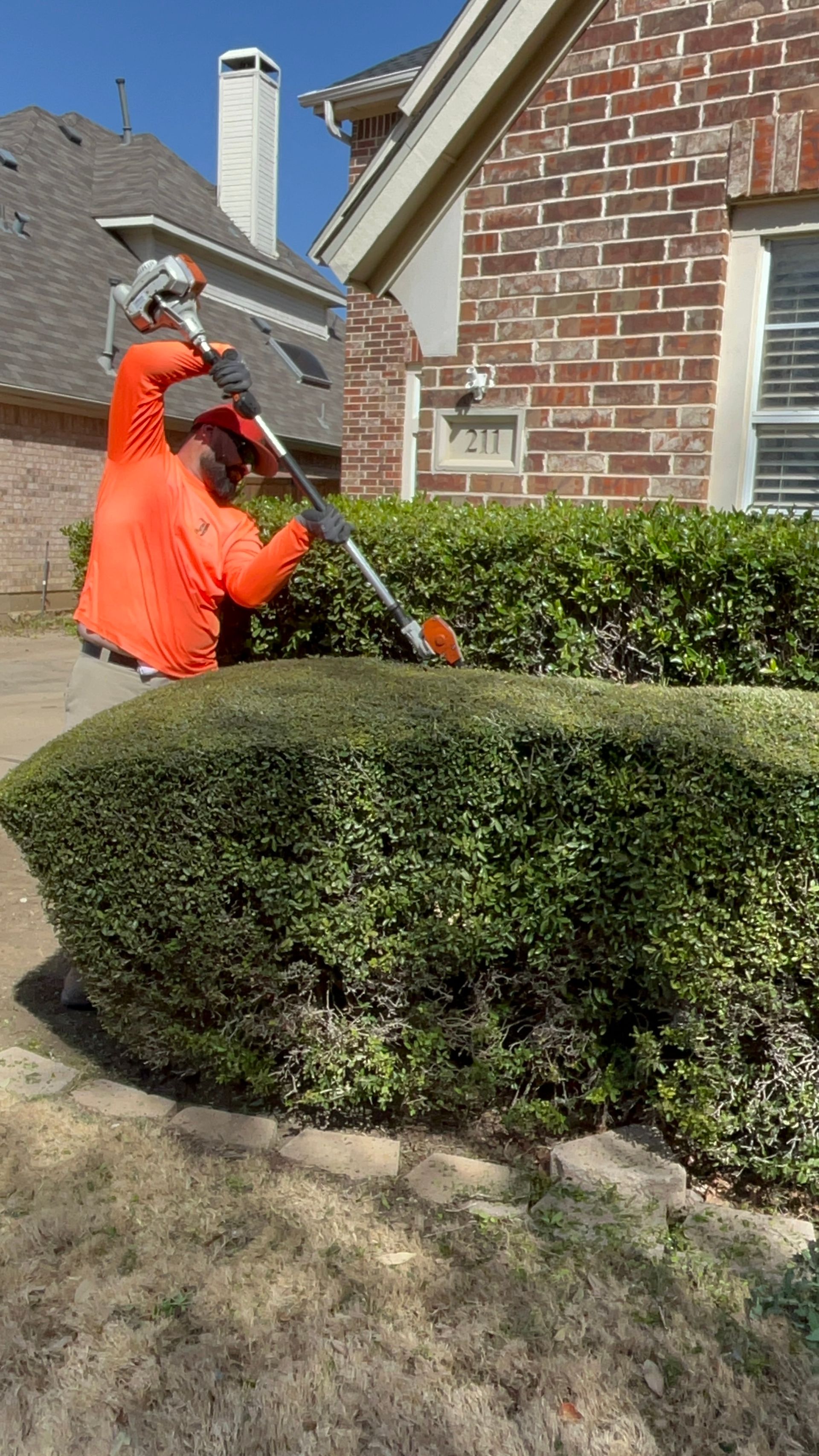Man in orange trimming a green bush with a hedge trimmer near a brick building on a sunny day.