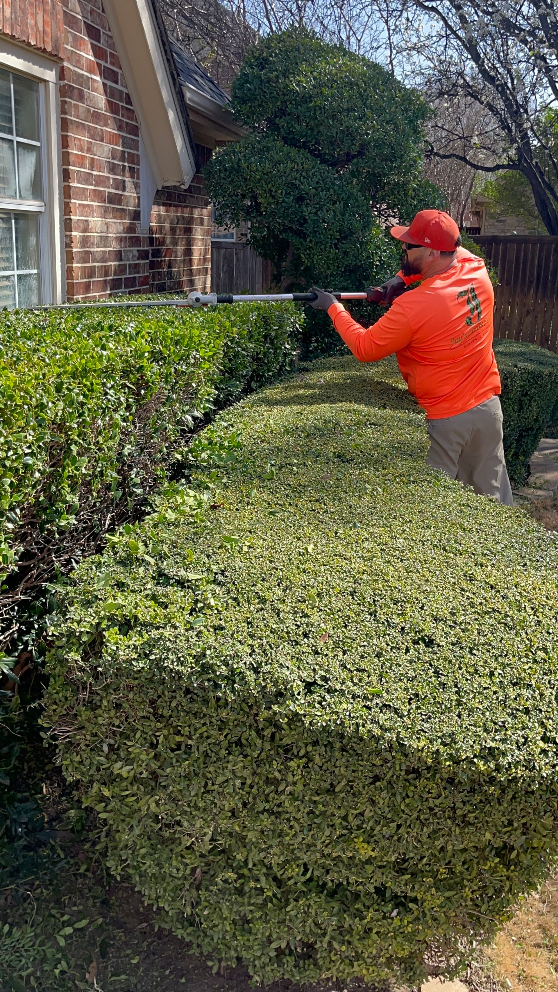 Man in orange trimming a green hedge with power shears near a brick house.