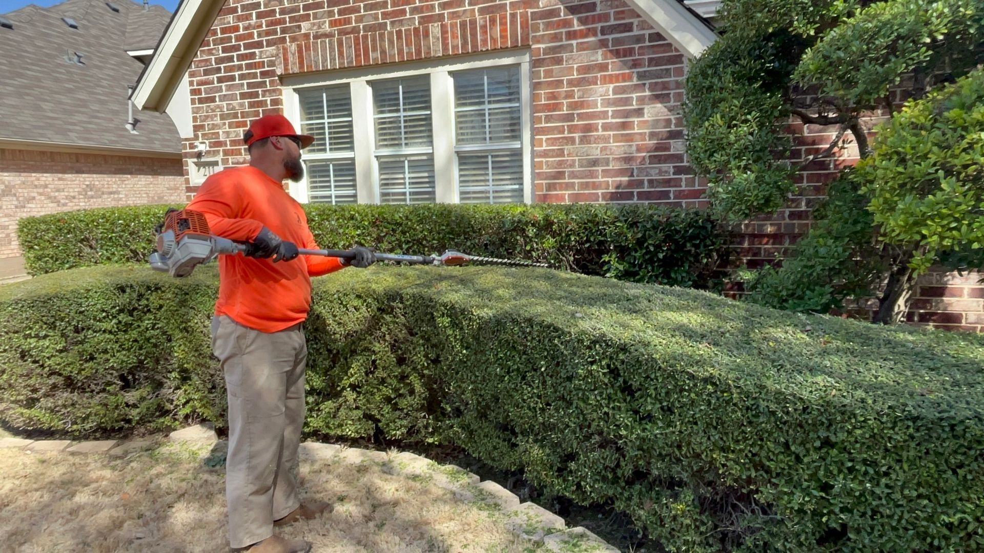 Hedge Trimming