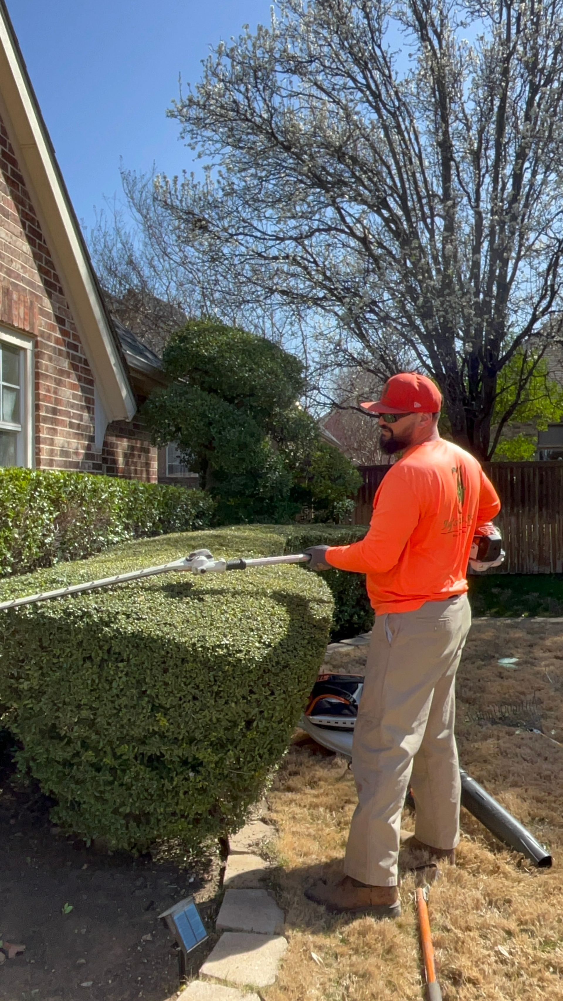 Man in orange trimming a large green bush outside a brick house on a sunny day.