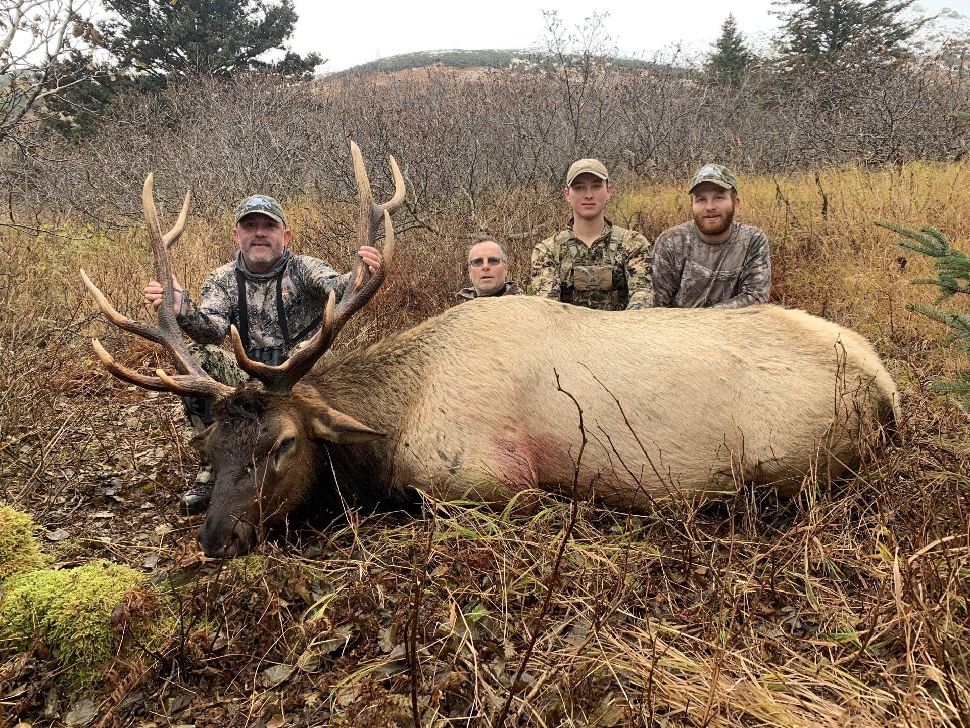 ROSSEVELT ELK HUNT, ALASKA, OUTFITTER, HUNTING GUIDE