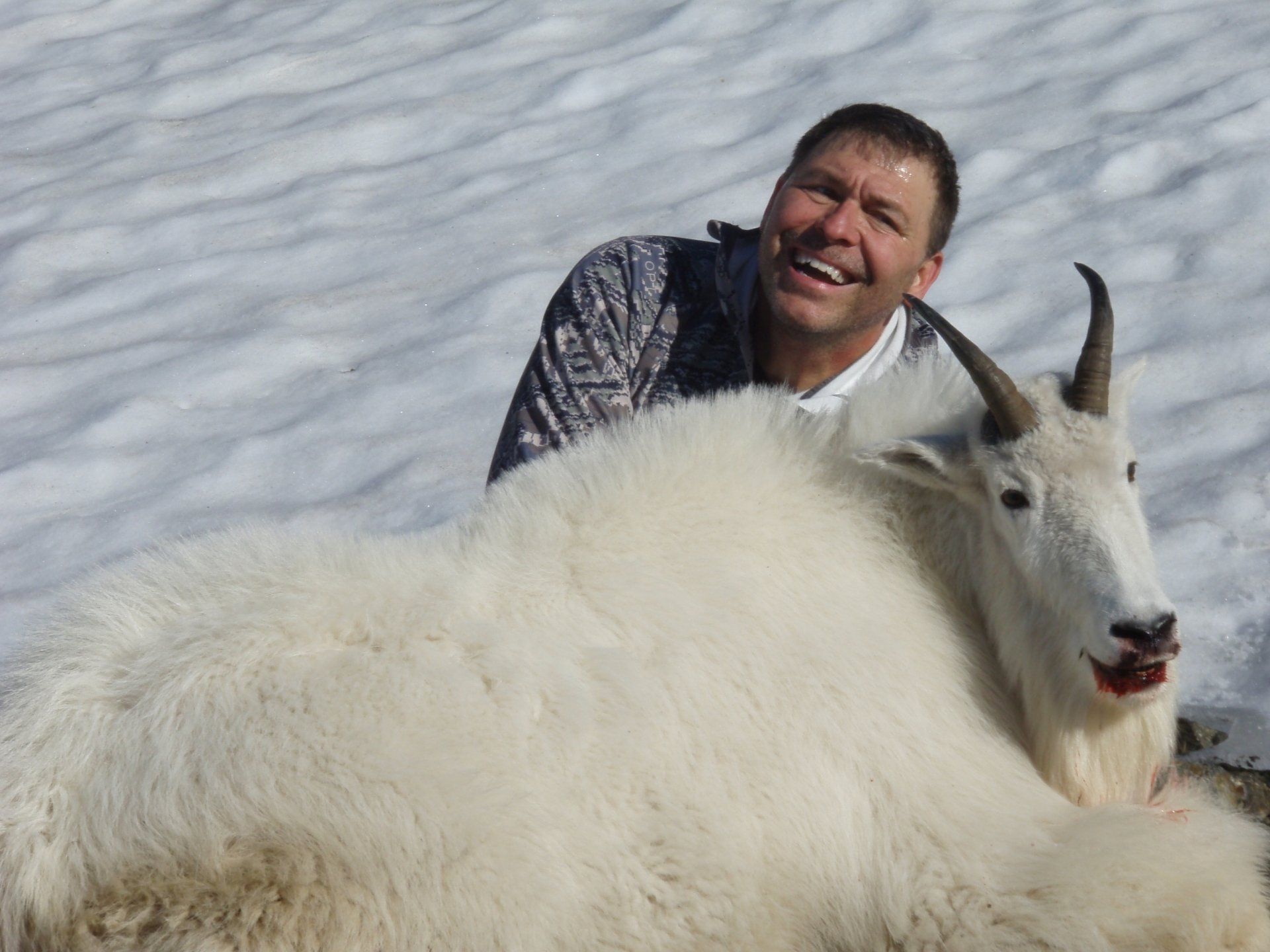 Alaska Mountain Goat Hunting, Paul Brand, Mountain Goat hunt