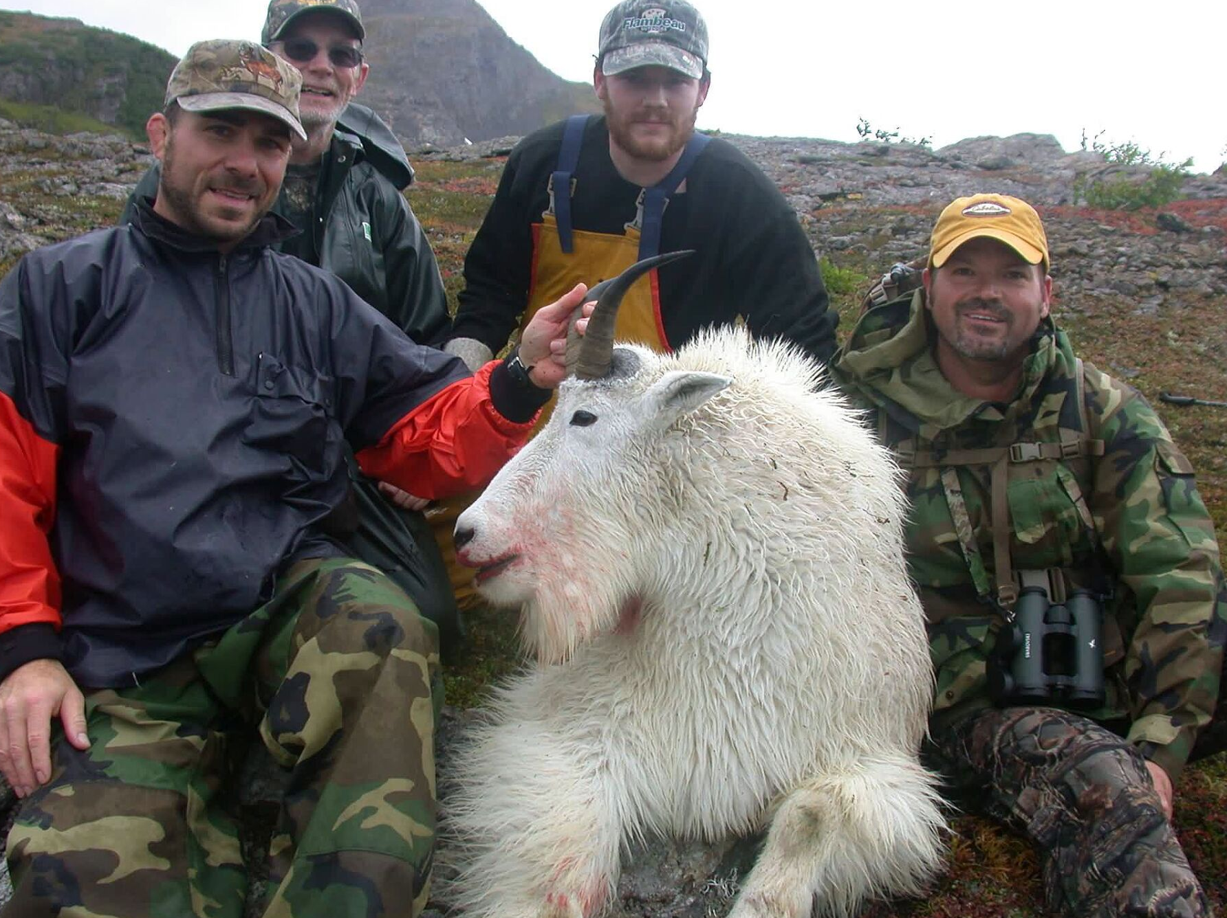 ALASKA MOUNTAIN GOAT HUNTING, ALASKA GOAT HUNTING OUTFITTER, ALASKA GOAT HUNT