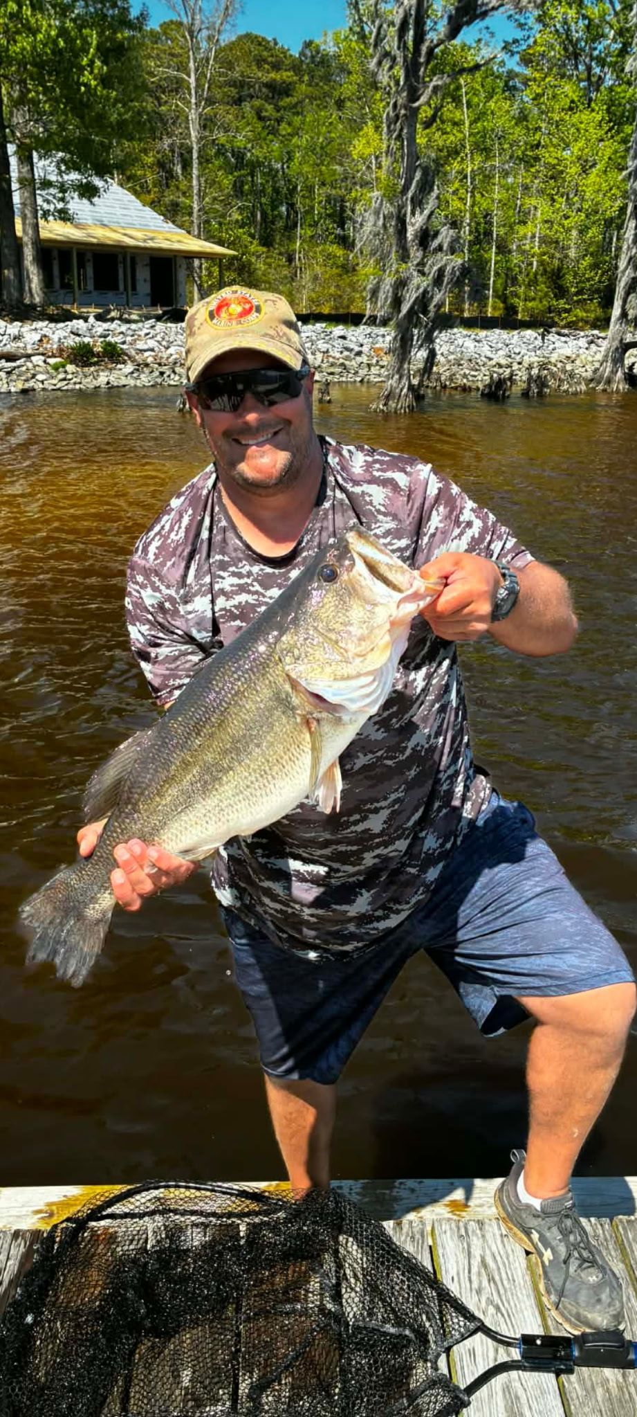 Angler holding a large fish in a shallow river, wearing a camo hat and sunglasses near a wooded bank.