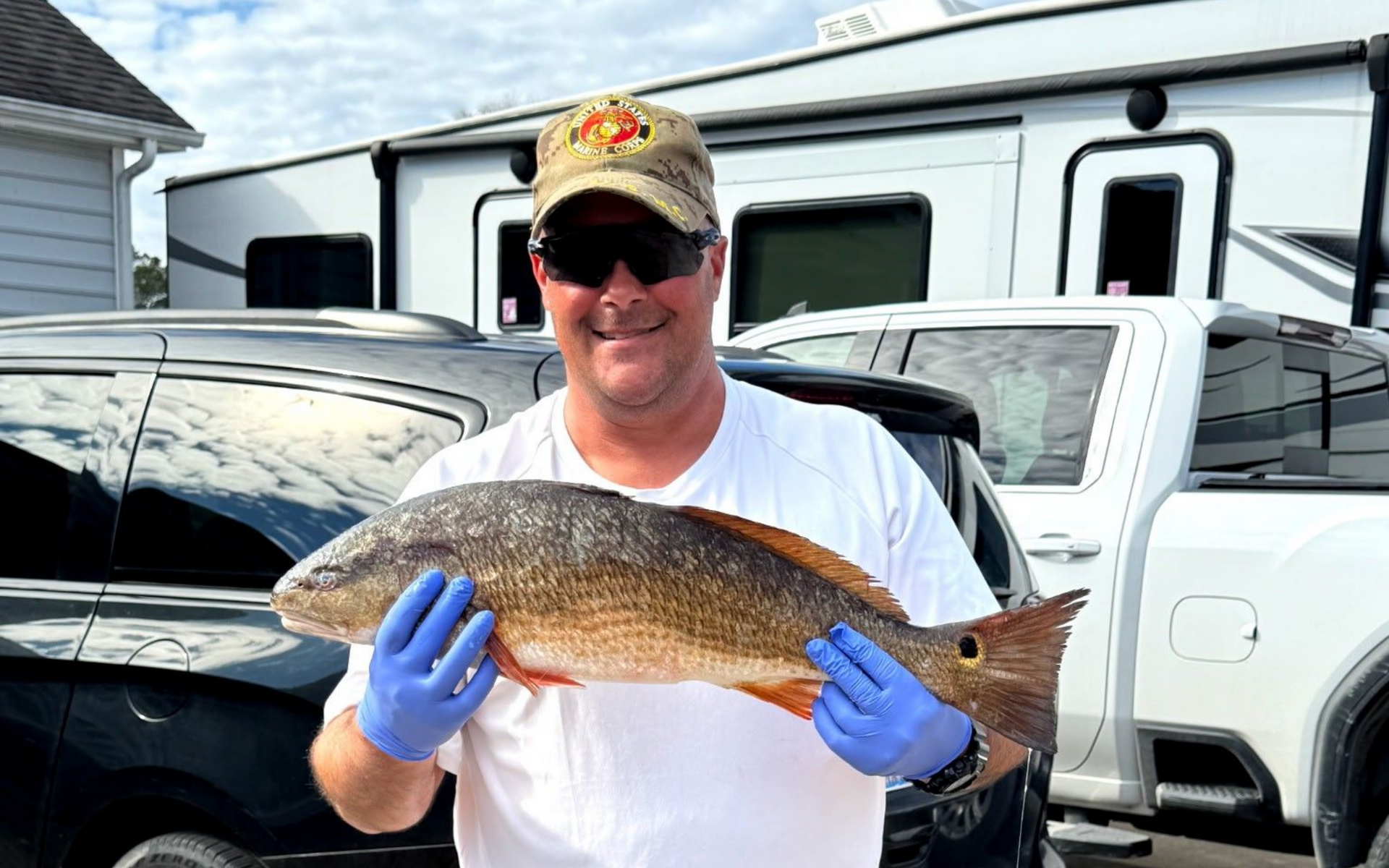 Man holding a large fish in blue gloves, standing outdoors beside parked vehicles and a white trailer.
