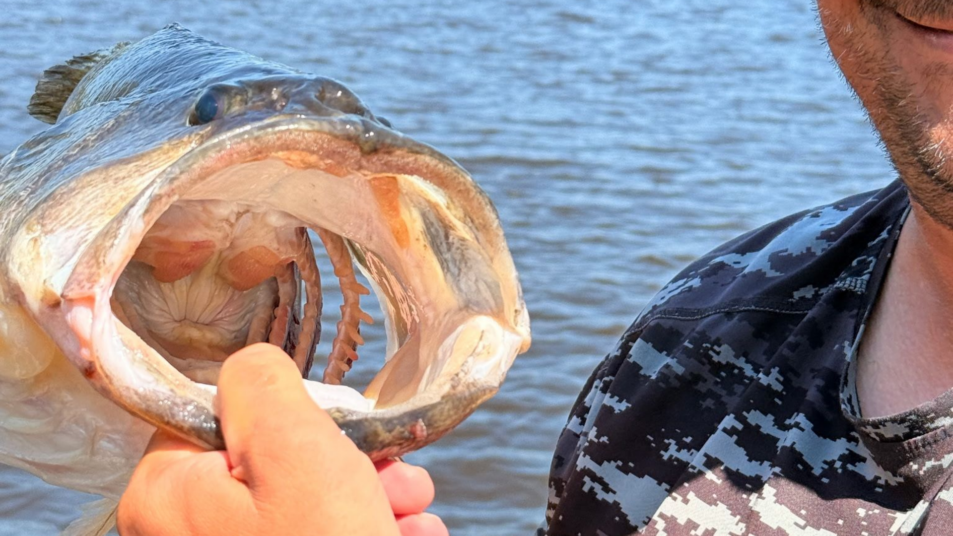 A person holds a fish open-mouthed near water, showing its teeth and pink mouth interior.