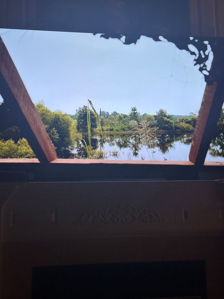 Wooden window framing a sunny lake view with trees and blue sky