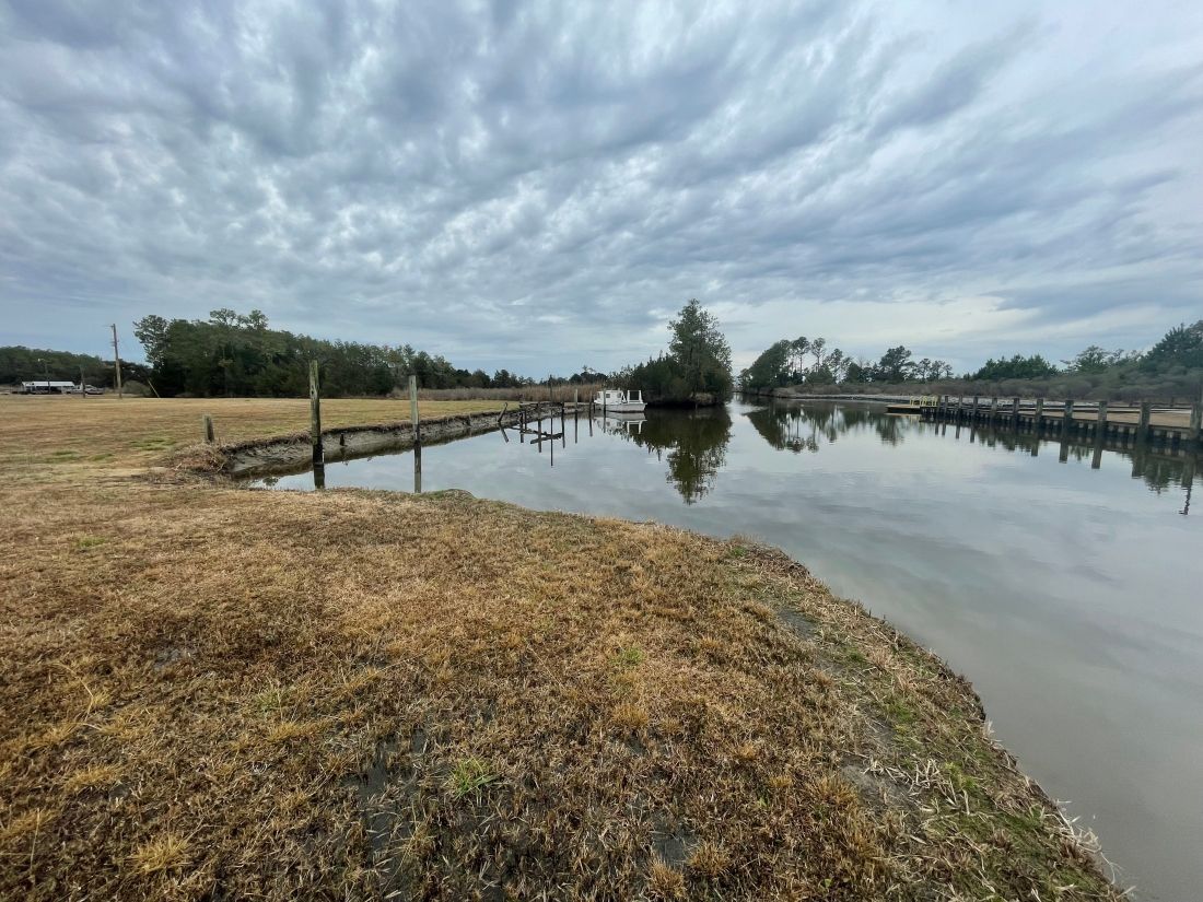 Overcast wetland with calm reflective water, grassy shoreline, and a small wooden bridge in the distance
