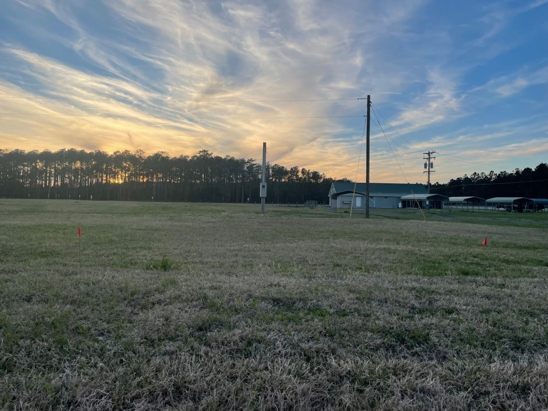 Open grassy field at sunset with utility poles, a small building, and trees along the horizon.