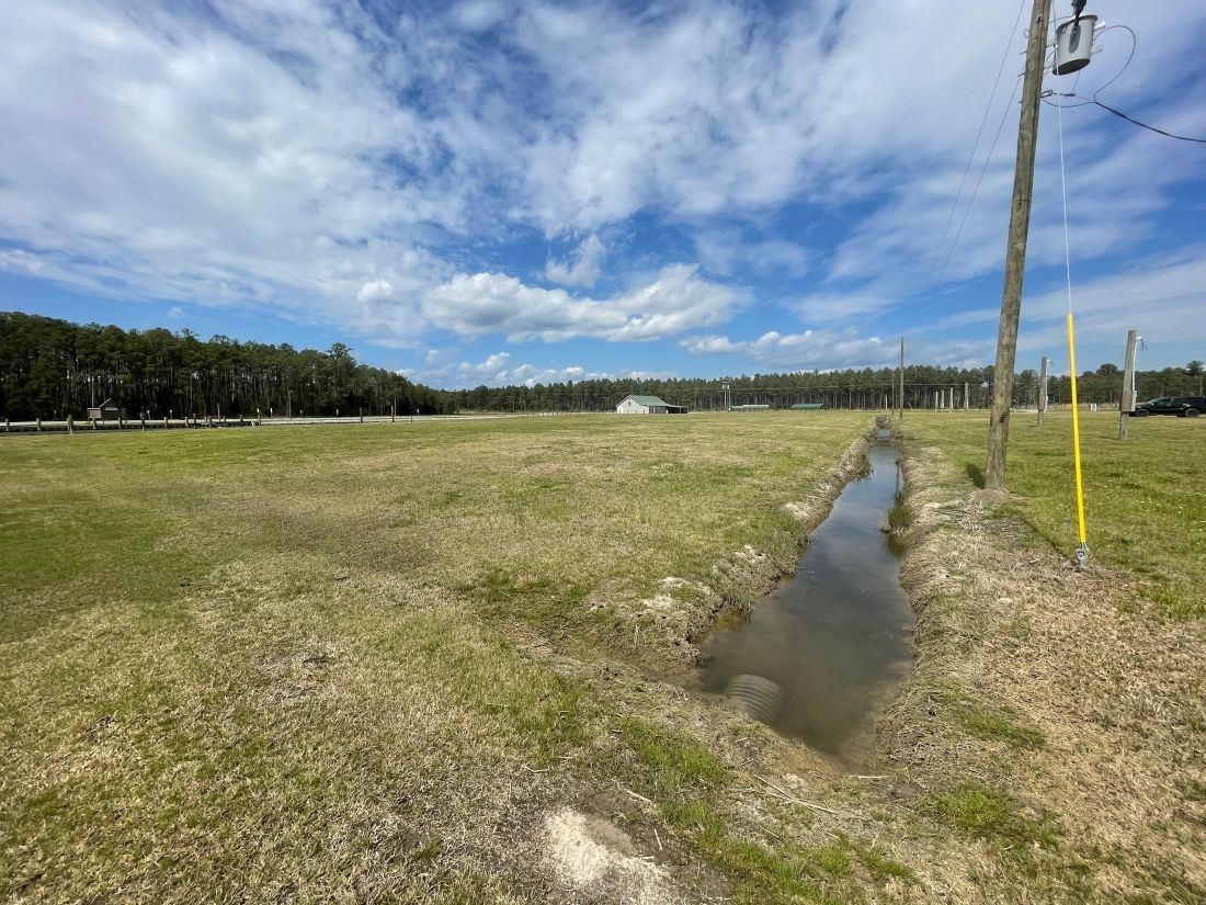 Grassy field with a narrow water ditch under a partly cloudy blue sky, trees in the distance