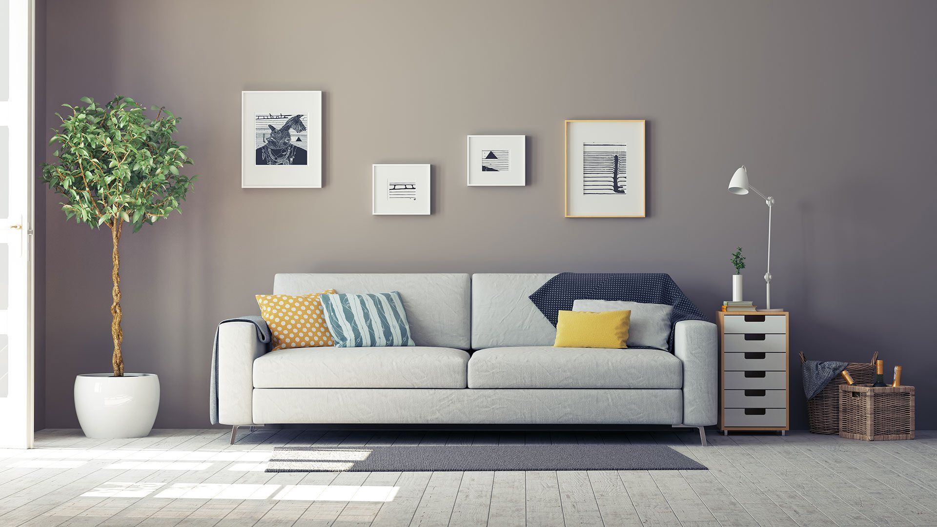 Gray Colored Wall Living Room