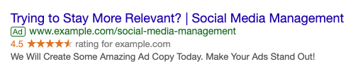 Google Search Ad