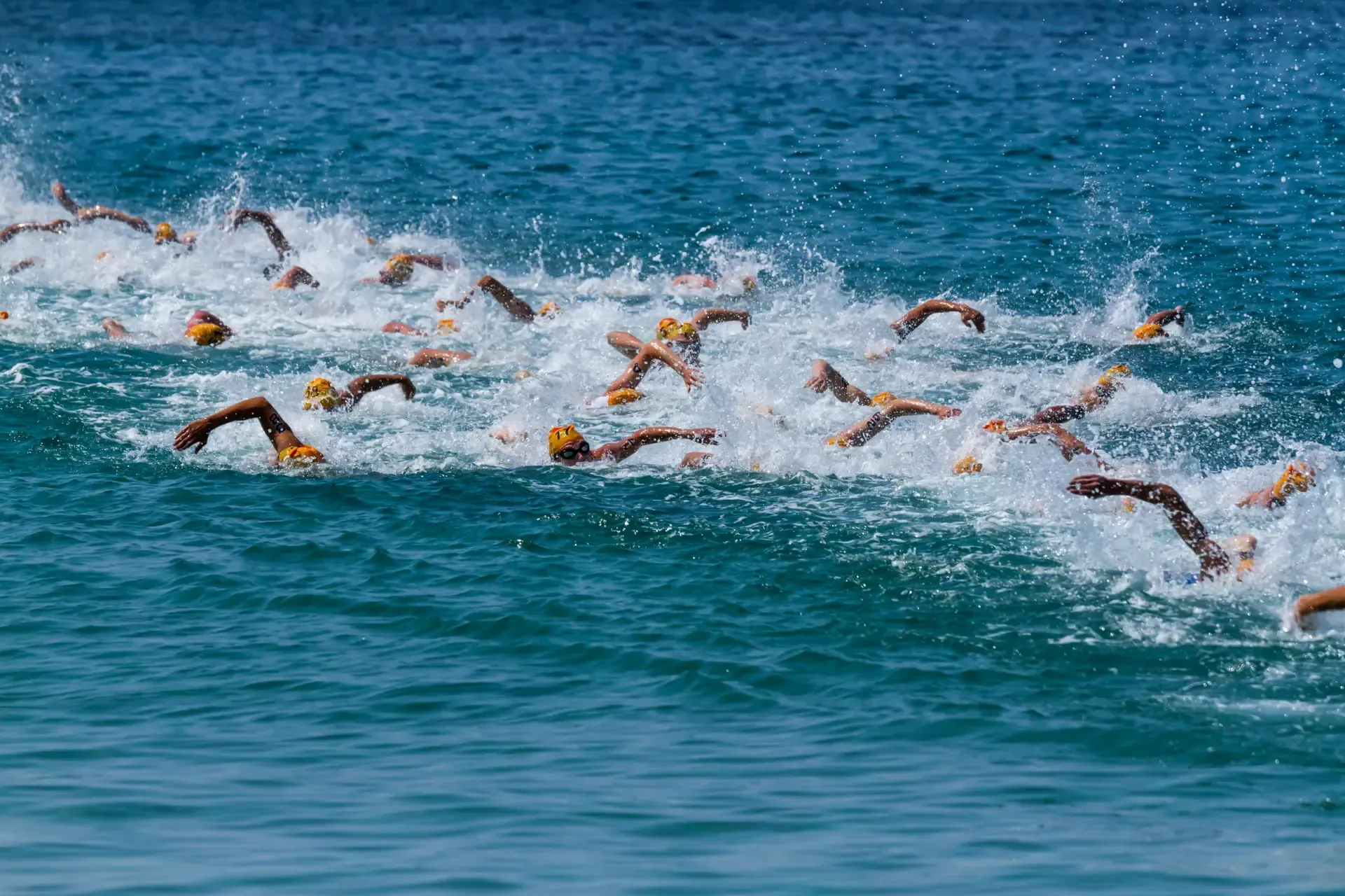 A group of people are swimming in the ocean.