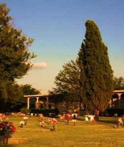 A sunlit cemetery with rows of gravestones, flowers, and tall trees under a clear blue sky.