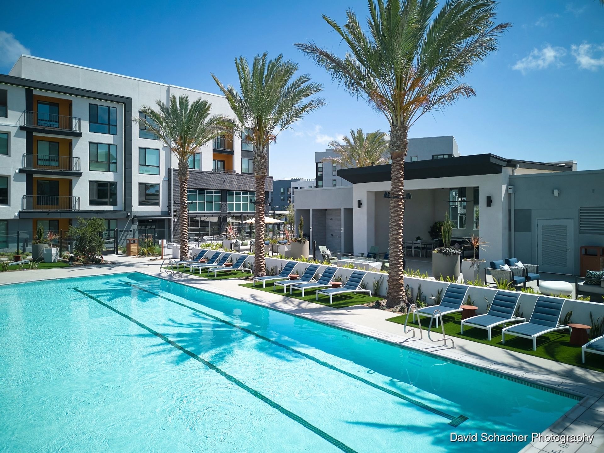 Modern apartment pool with palm trees, lounge chairs, and a bright blue sky