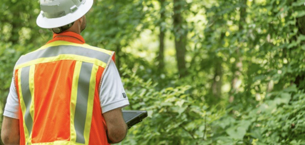 Person in orange safety vest and hard hat surveying a wooded area.