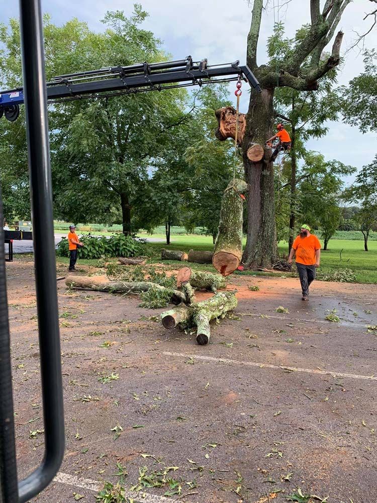 Tree removal crew cutting large branches beside a road with an excavator in Huntsville, AL.