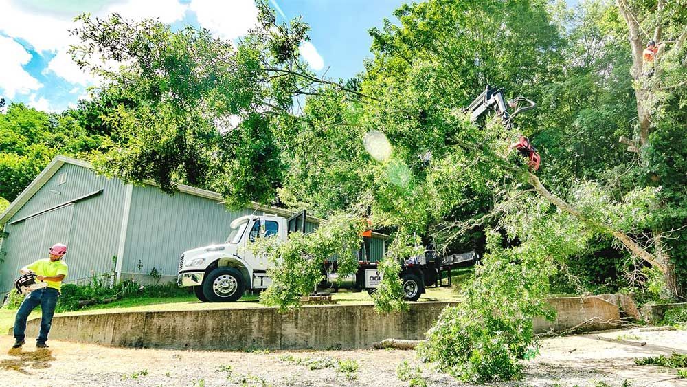 Tree removal: Worker on a lift truck cuts branches. A second worker stands below near a shed. Bright, sunny day.