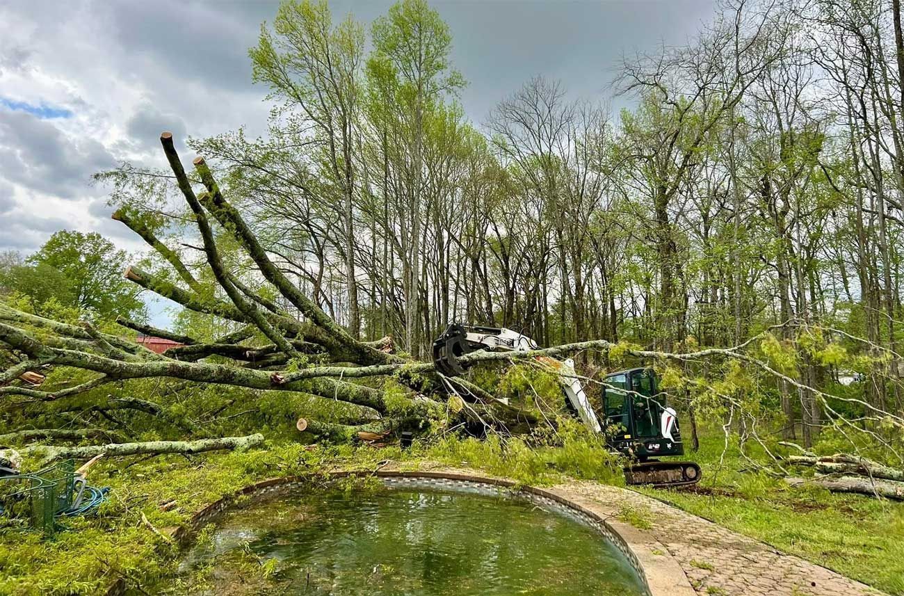 Trees felled by a storm, near a pool, with a small excavator clearing debris. Overcast day.