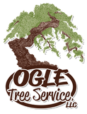 Ogle Tree Service LLC | Trusted Tree Care in Huntsville, AL