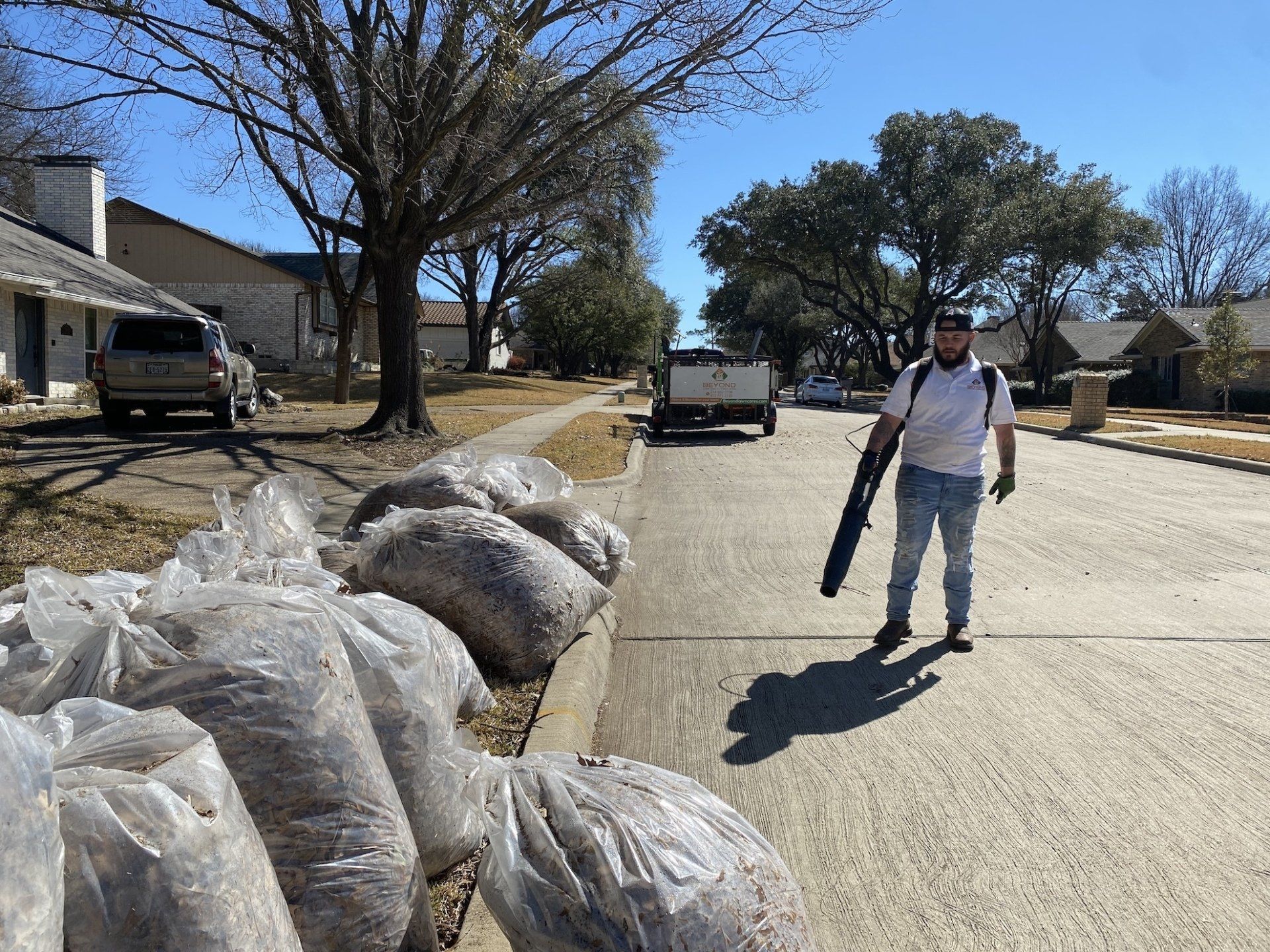 Yard Clean Up