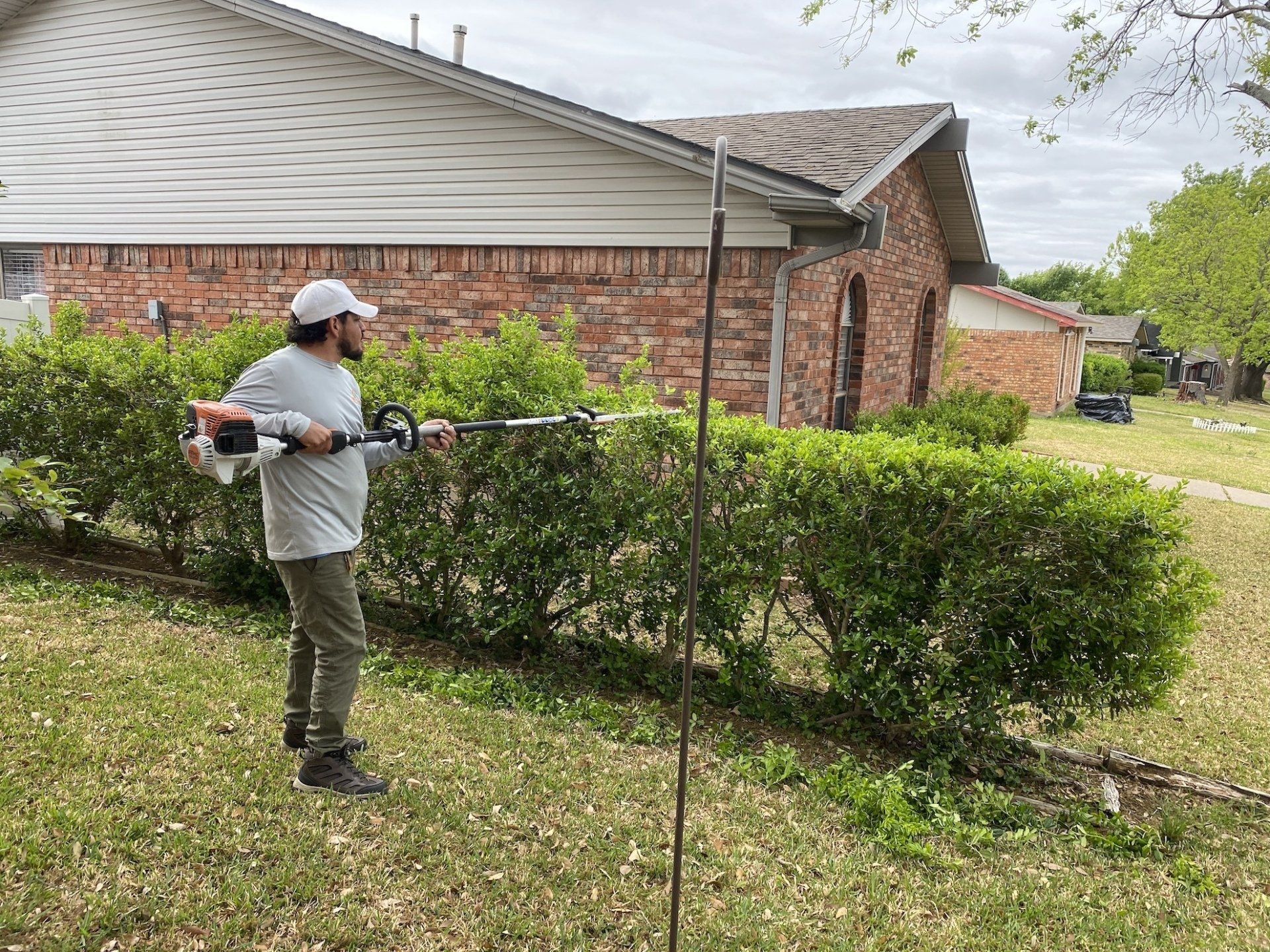 Hedge Trimming