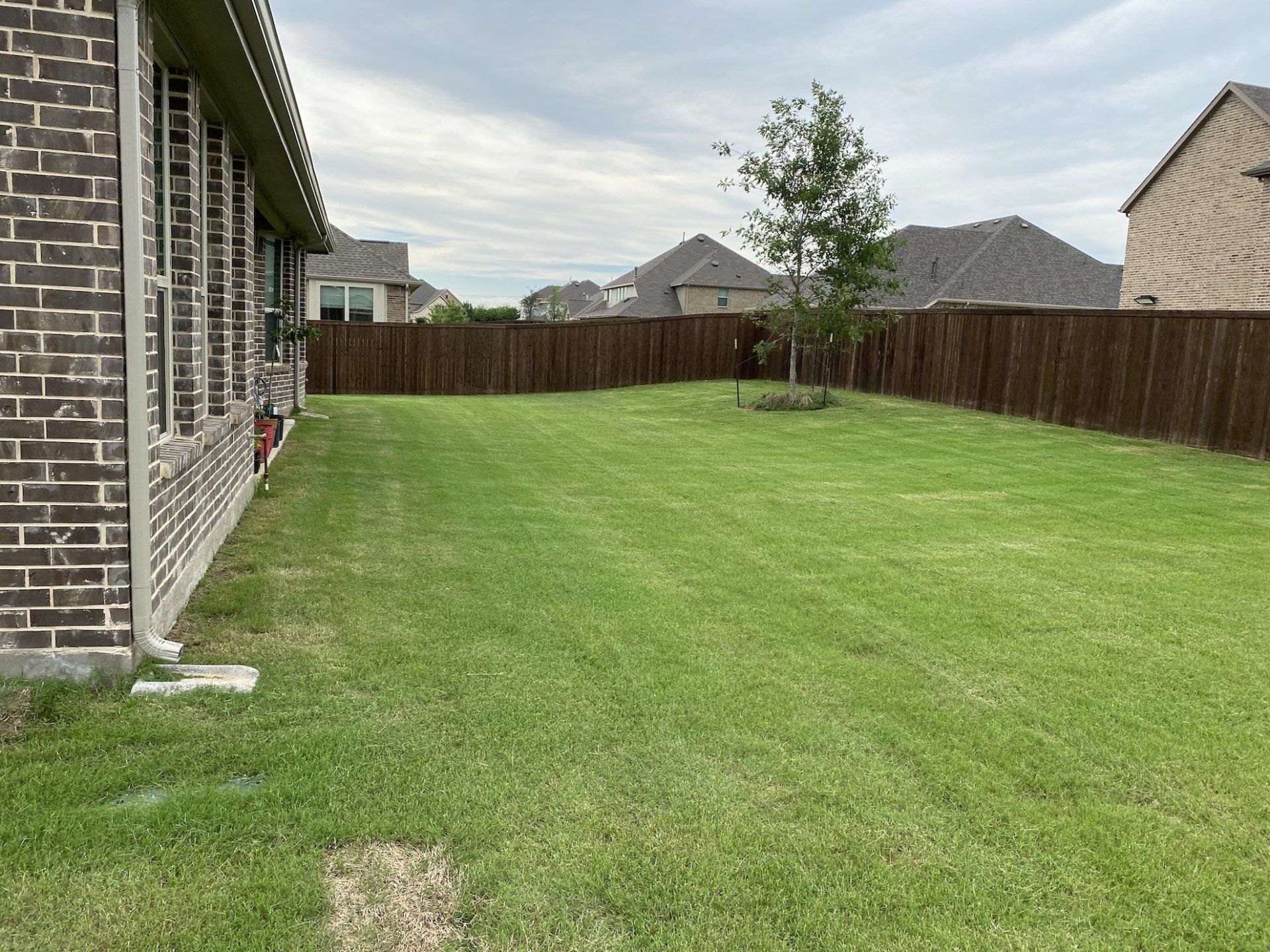 Lawn Care