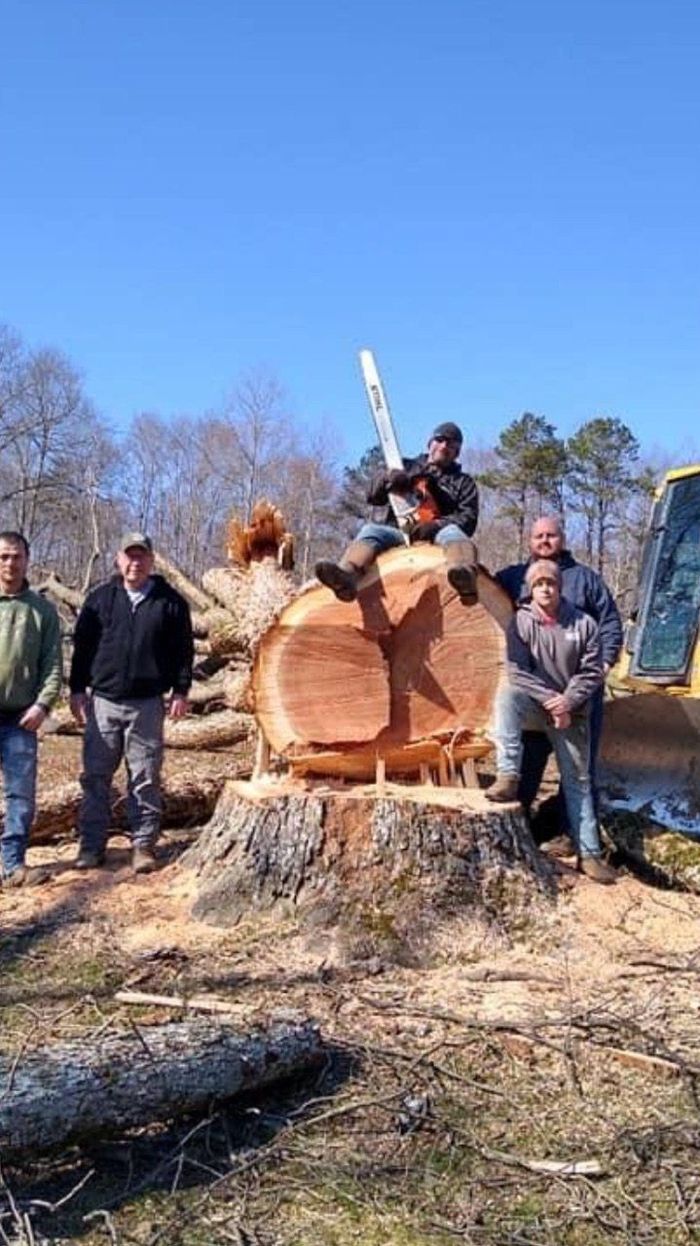 Tree Stump