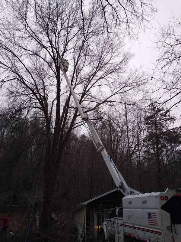 Forestry Bucket Truck