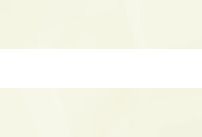 white equal sign icon