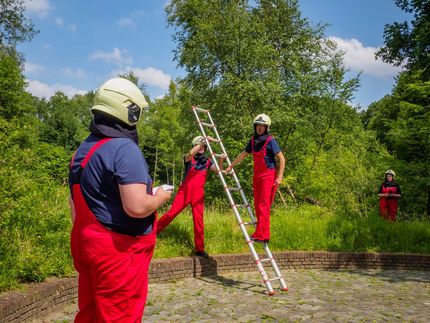 Three workers in red overalls and helmets use a ladder in a green outdoor area under a blue sky