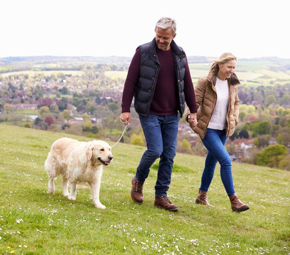 Hearing Aid Maintenance