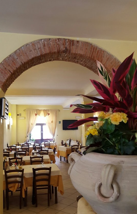 caffe biologico