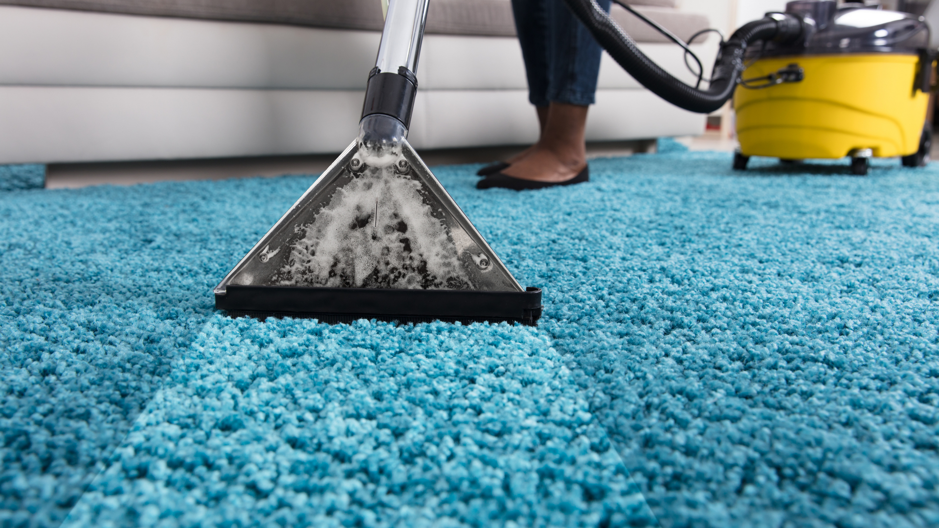 carpet cleaning experts ansley acres