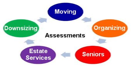 Our Assessment choices